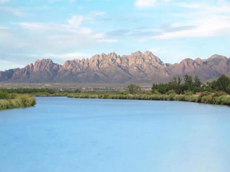 Las Cruces Cripple Creek Realty LLC